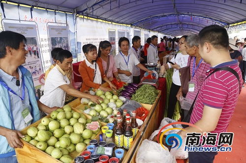 消費(fèi)扶貧賦能鄉(xiāng)村振興 定安農(nóng)副產(chǎn)品展銷會(huì)銷售額突破127萬(wàn)元