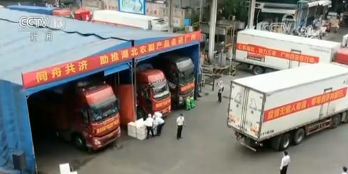 多措并舉拓銷路，湖北農(nóng)副產(chǎn)品產(chǎn)銷兩旺譜新篇