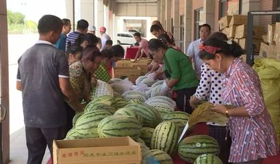 白云人組團(tuán)采購(gòu)逾1.5萬(wàn)個(gè)新疆西瓜，愛心接力解滯銷燃眉之急