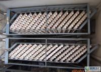 物美價(jià)廉，品質(zhì)無(wú)憂 來(lái)自世界工廠網(wǎng)的優(yōu)良柴雞蛋