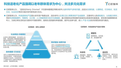 《2021中國(guó)科技適老化產(chǎn)品研究報(bào)告》——信息技術(shù)咨詢服務(wù)的角色與展望